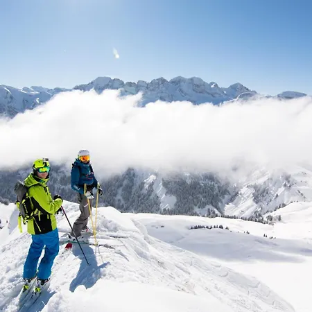 Chalet Alp *